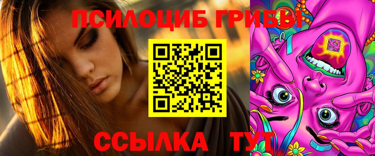 Псилоцибиновые грибы MAGIC MUSHROOMS  Вход с VPN  Большой Камень  Галлюциногенные грибы GOLDEN TEACHER 