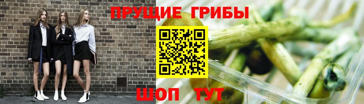 Псилоцибиновые грибы ЛСД Большой Камень